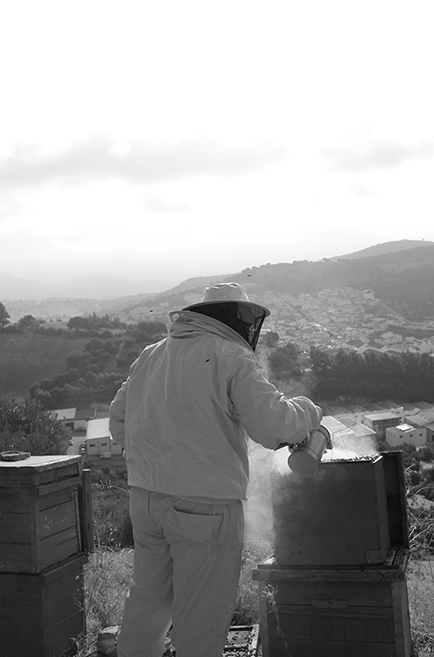 Apicultor trabajando con una colmena y Prado del Rey en el fondo